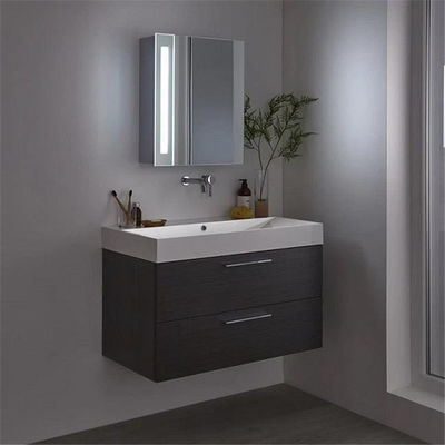 gabinete de cuarto de baño impermeable 1460kgs/M3, armario laminado de HPL con el espejo